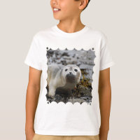 T-shirt de la jeunesse de bébé phoque