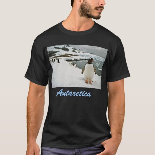 T-shirt de l'Antarctique (Devant)
