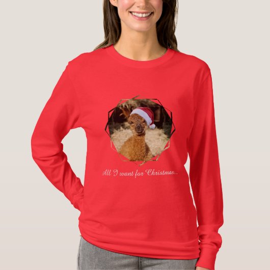 T-shirt de Noël d'alpaga (Devant)