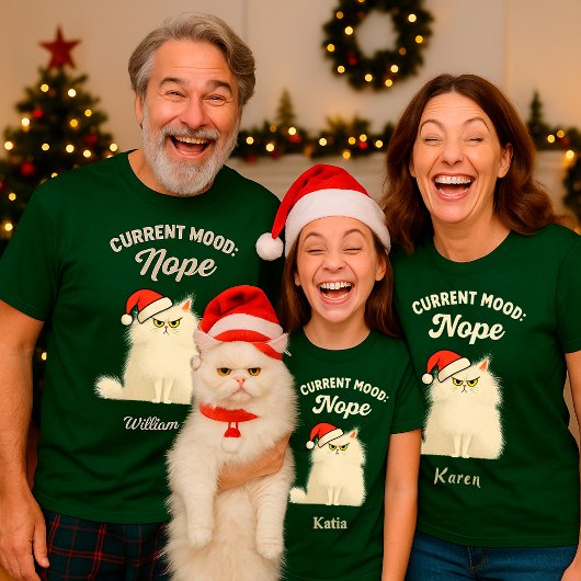T-shirt de Noël drôle de chat grincheux – Nom pers