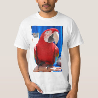 T-shirt de perroquet