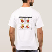 T-shirt de réflexothérapie (Dos)
