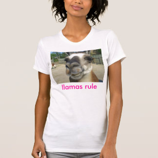 T-shirt de womesn de règle de lamas