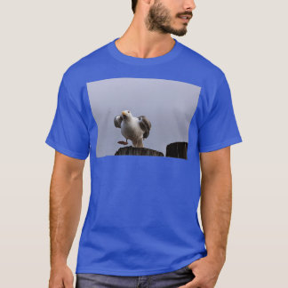 T-shirt Décollage