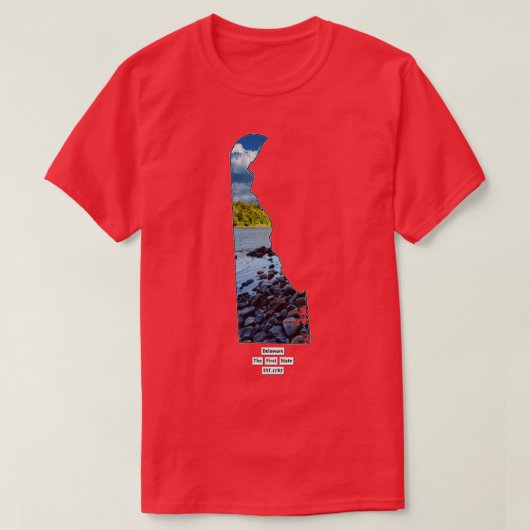 T-shirt Delaware USA (Design devant)
