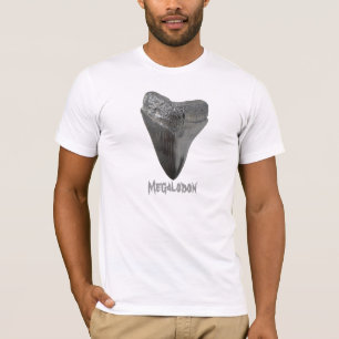 T-shirt Dent de Megalodon