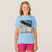 T-shirt Dernière fonte de glace (Devant entier)