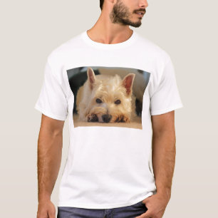 T-shirt des montagnes occidental mignon de chien