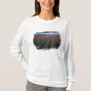 T-shirt Des tulipes roses et rouges brillent sous un ciel