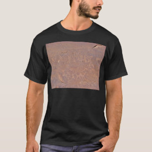 T-shirt Dessins De Carbe Préhistoriques Dans Le Désert