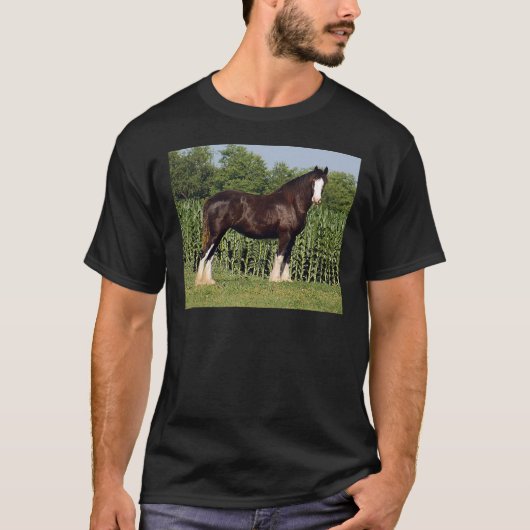 T-shirt destin (Devant)