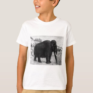 T-shirt Destin de mammoth laine