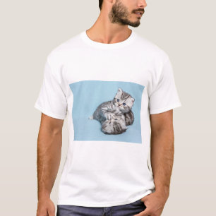 T-shirt Deux chatons en noir argenté jouant ensemble.JP