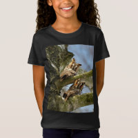 Deux Chouettes dans les Bois, oiseaux, faune