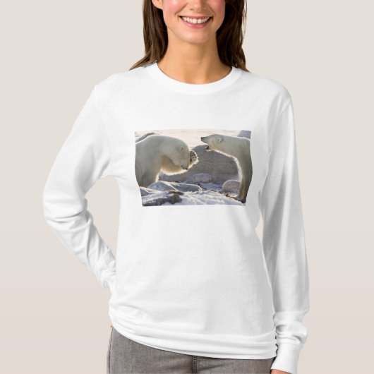 T-shirt Deux ours polaires (Devant)