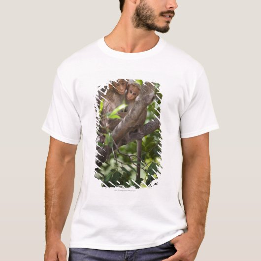T-shirt Deux singes dans un arbre (Devant)