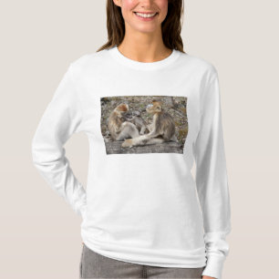 T-shirt Deux singes dorés femelles avec des nouveau-nés