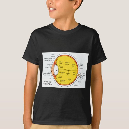T-shirt Diagramme anatomique de la boule d'oeil humain (Devant)