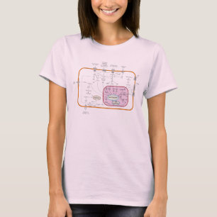 T-shirt Diagramme de voies de transduction de signal de