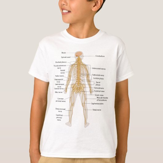 T-shirt Diagramme du système nerveux du corps humain (Devant)