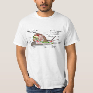T-shirt Diagramme d'un escargot de jardin commun (aspersa