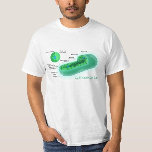 T-shirt Diagramme d'une cellule typique de Cyanobacteria (Devant)