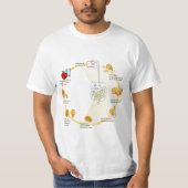 T-shirt Diagramme Giardia Cycle de vie Parasite (Devant)