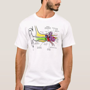T-shirt Diagramme humain d'oreille avec la cartographie