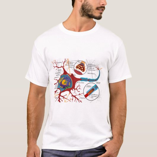 T-shirt Diagramme Neurone Complet Système Nerveux Cellule (Devant)