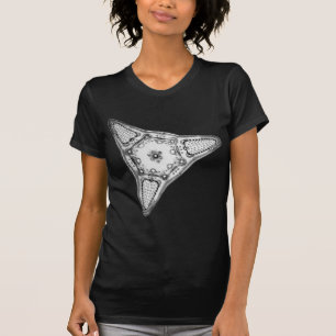 T-shirt Diatomée