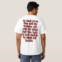 Dieu vous donne des ailes (psaumes 91 : 4)