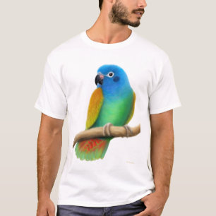 T-shirt dirigé bleu de perroquet de Pionus