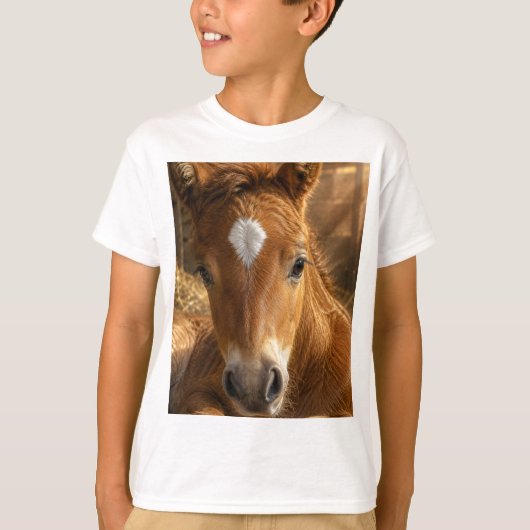 T-shirt Douce Pâmoison dorée (Devant)