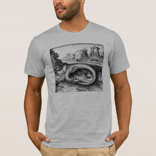 T-shirt Dragon Biting c'est Tail Tee - shirt