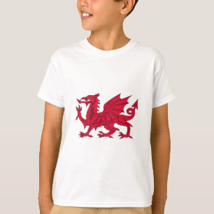 T-shirt Dragon de Gallois