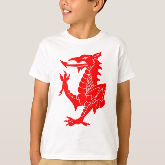T-shirt Dragon de Gallois effréné (Devant)