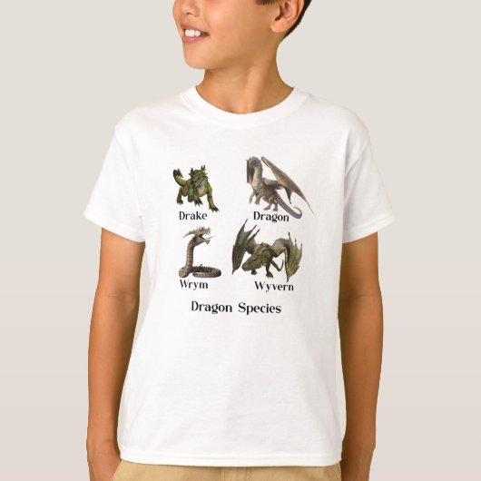 T-shirt Dragon Espèces Types Wyvern Dram Wrym (Devant)