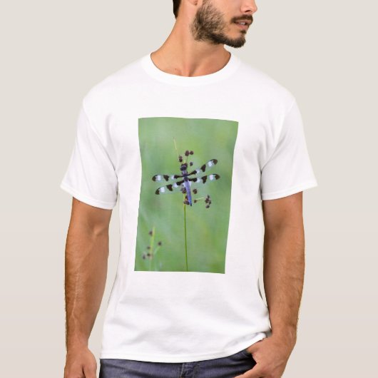 T-shirt Dragon fly perched on grass (Devant)