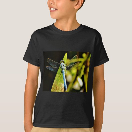 T-shirt Dragonfly bleu clair (Devant)