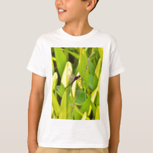 T-shirt Dragonfly Blue et noir sur l'herbe.