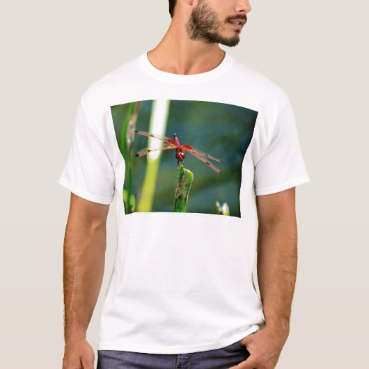T-shirt Dragonfly frontale rouge et noire (Devant)