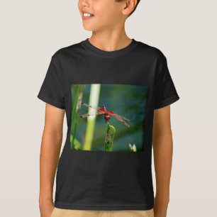 T-shirt Dragonfly frontale rouge et noire