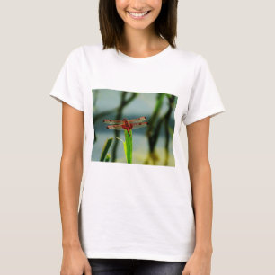 T-shirt Dragonfly rouge et noire tachetée
