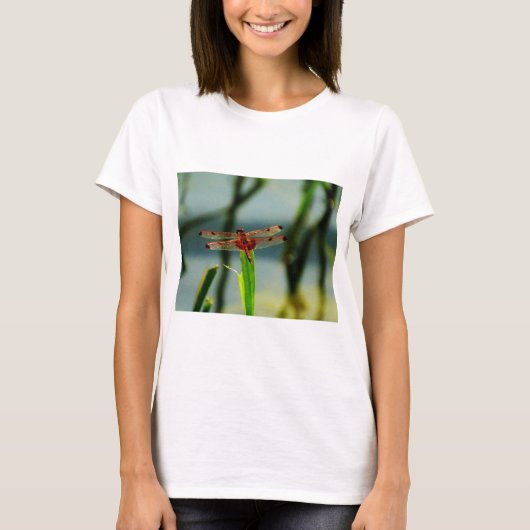 T-shirt Dragonfly rouge et noire tachetée (Devant)