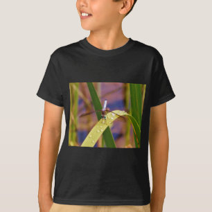 T-shirt Dragonfly sur la feuille de pluie
