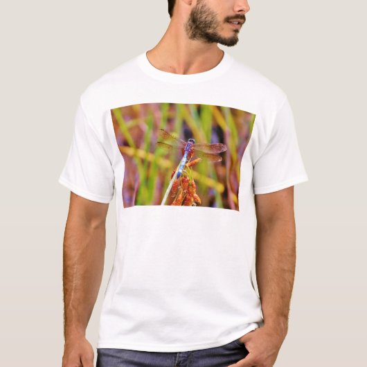 T-shirt Dragonfly turquoise sur le carex (Devant)