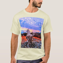 Dragonware et Kidtastic designs