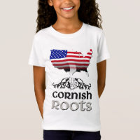 Drapeau Cornouailles Américaines