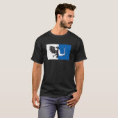 T-shirt Drapeau de Connacht (Devant entier)