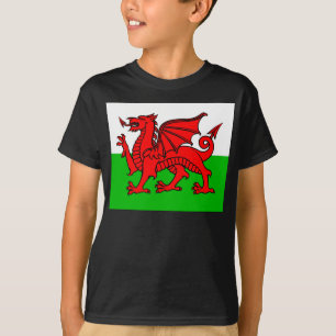 T-shirt Drapeau de Gallois